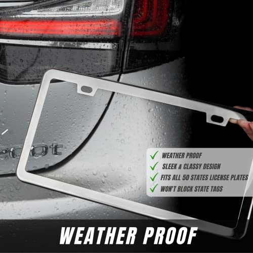 Stainless Steel License Plate Frame + Chrome Screw Caps (Silver) D1042