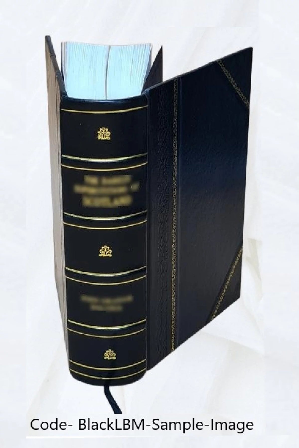Cattle Ox Sheep and Swine Leather Bound N895
