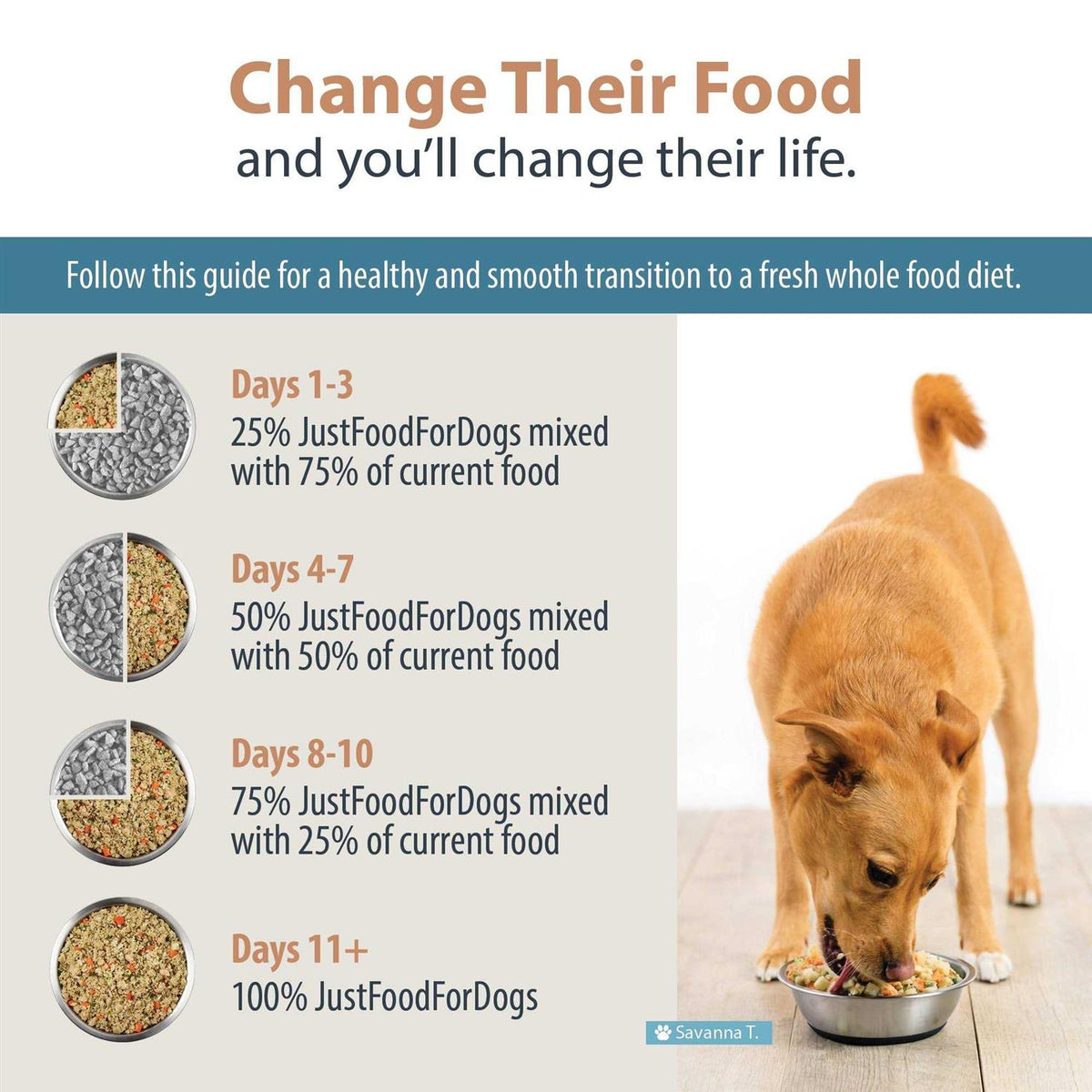 Frozen Dog Food Y8640