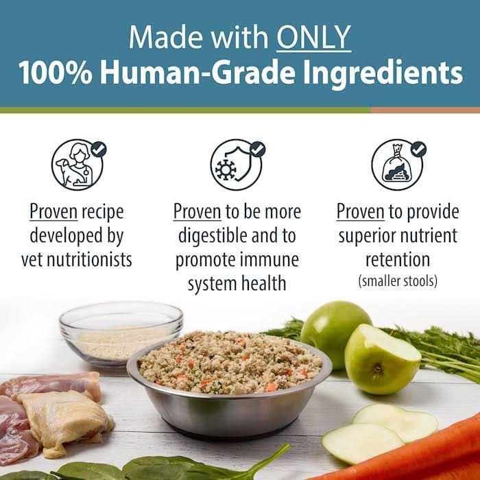 Frozen Dog Food Y8640