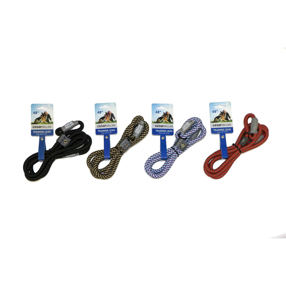 2-in-1 Slip Collar Dog Training Lead & Collar Y29118