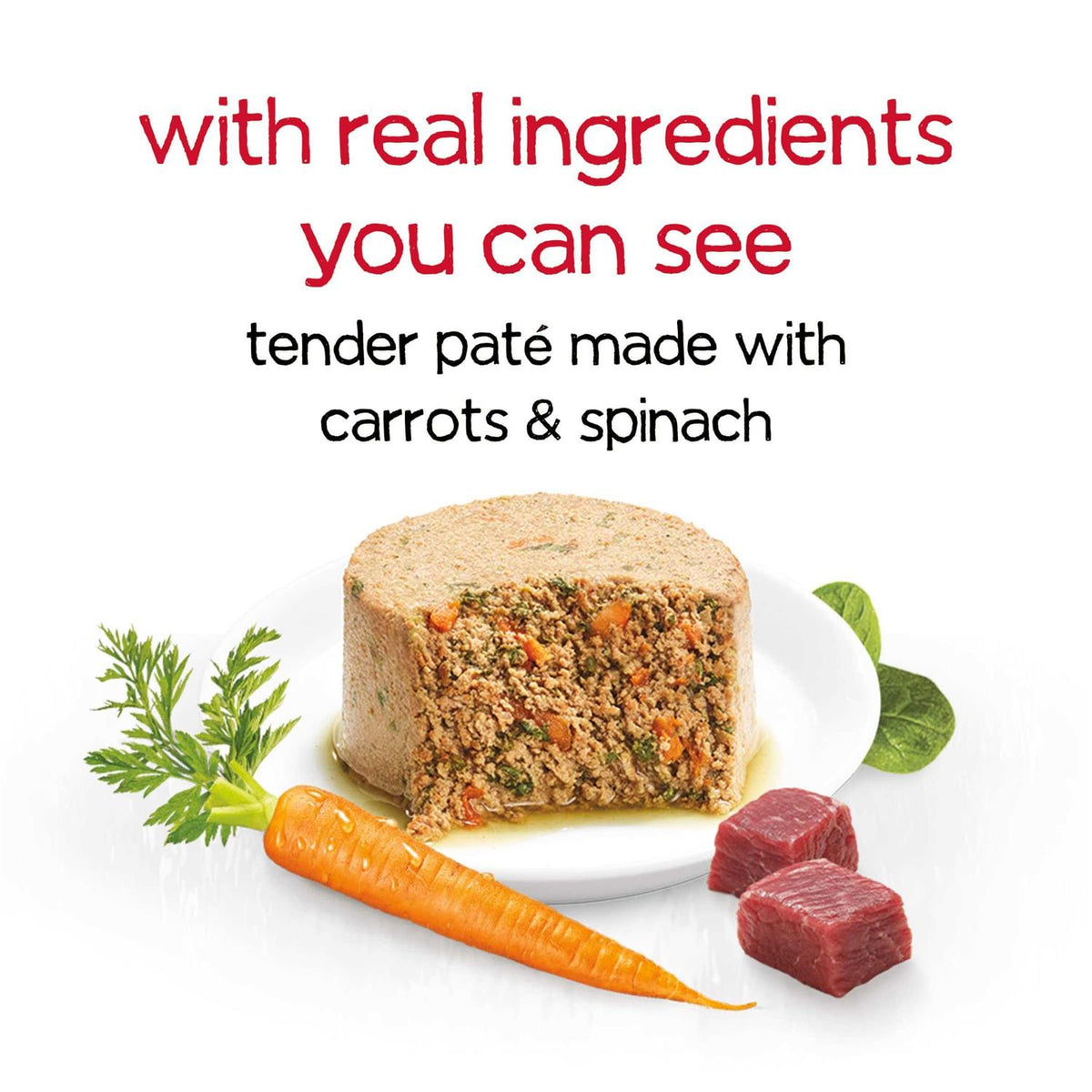Dog Food R9561