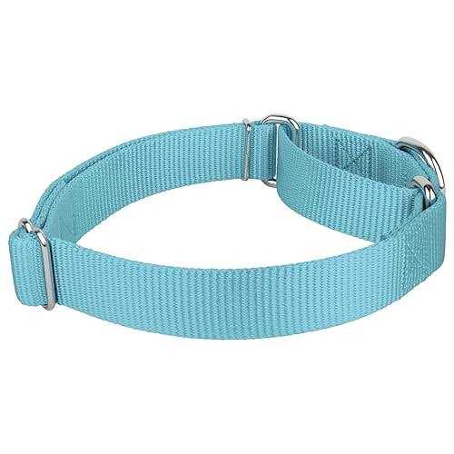 Nylon Martingale Dog Collar O261