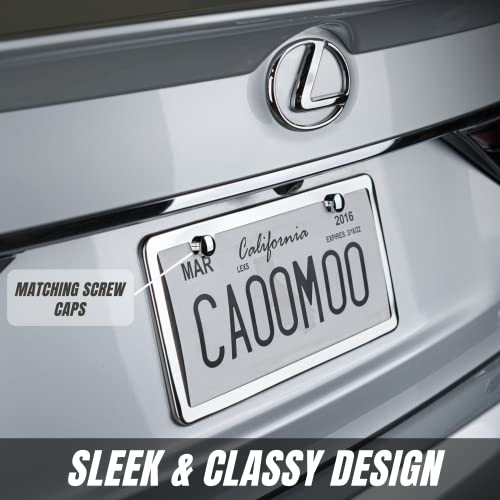 Stainless Steel License Plate Frame + Chrome Screw Caps (Silver) D1042