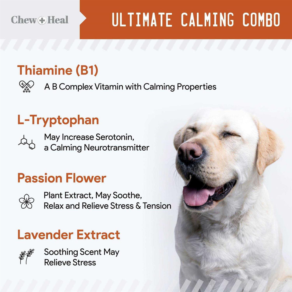 Anxiety & Stress Calming Soft Chews F9405