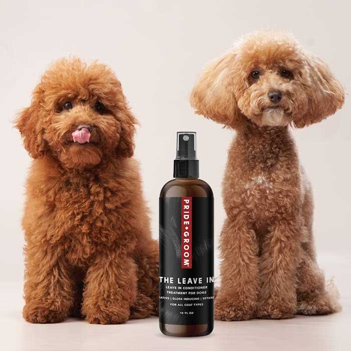 Leave in Conditioner Treatment for Dogs K148
