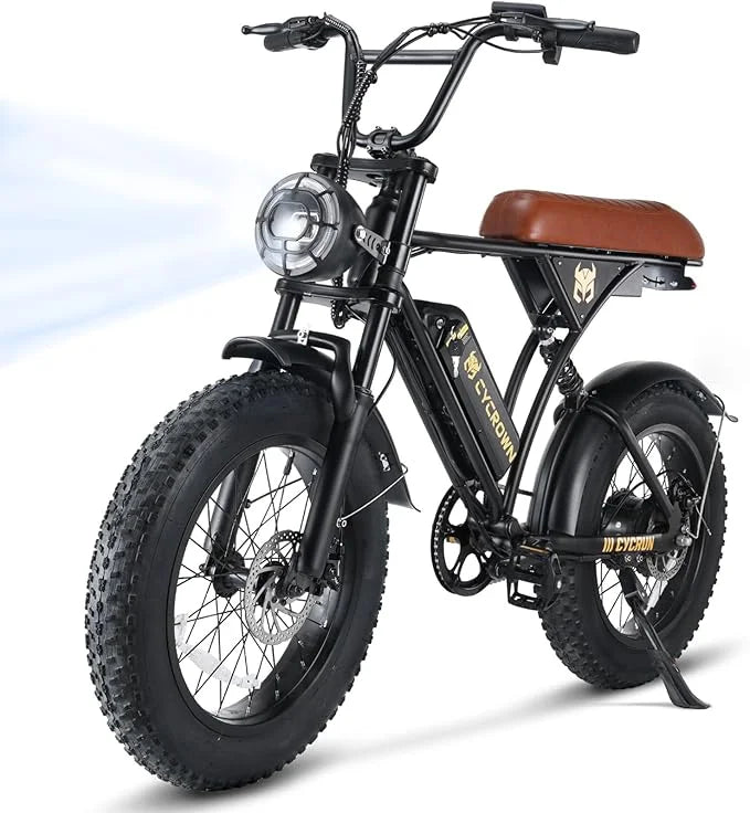 750W Motor 36V 10.4 Battery 20" Fat Tire Electric Bike K6806