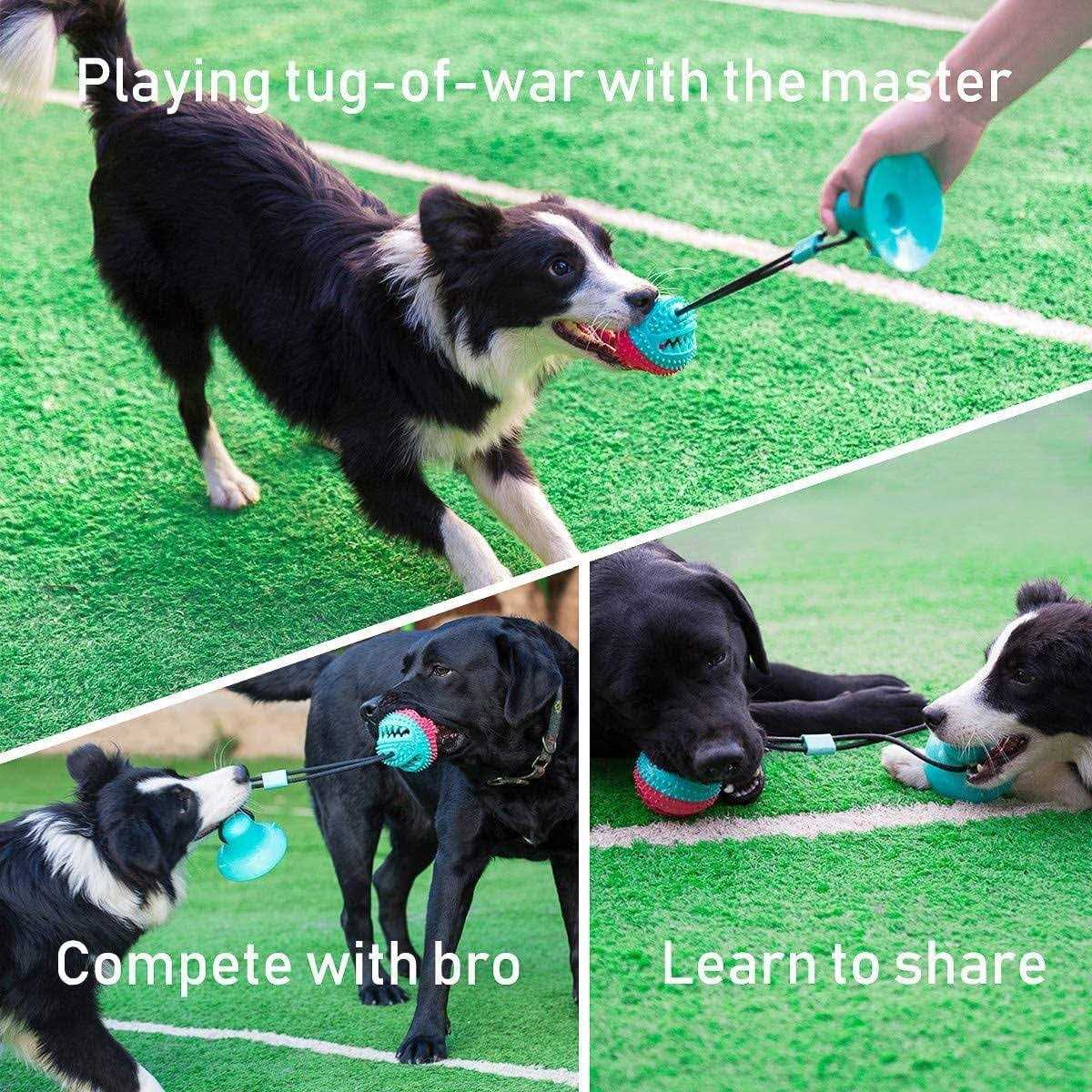 Interactive Dog Tug of War Toys I882