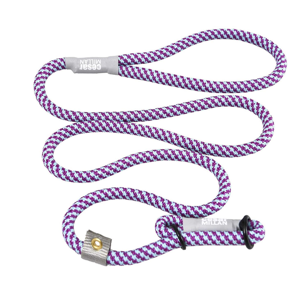 2-in-1 Slip Collar Dog Training Lead & Collar Y29118