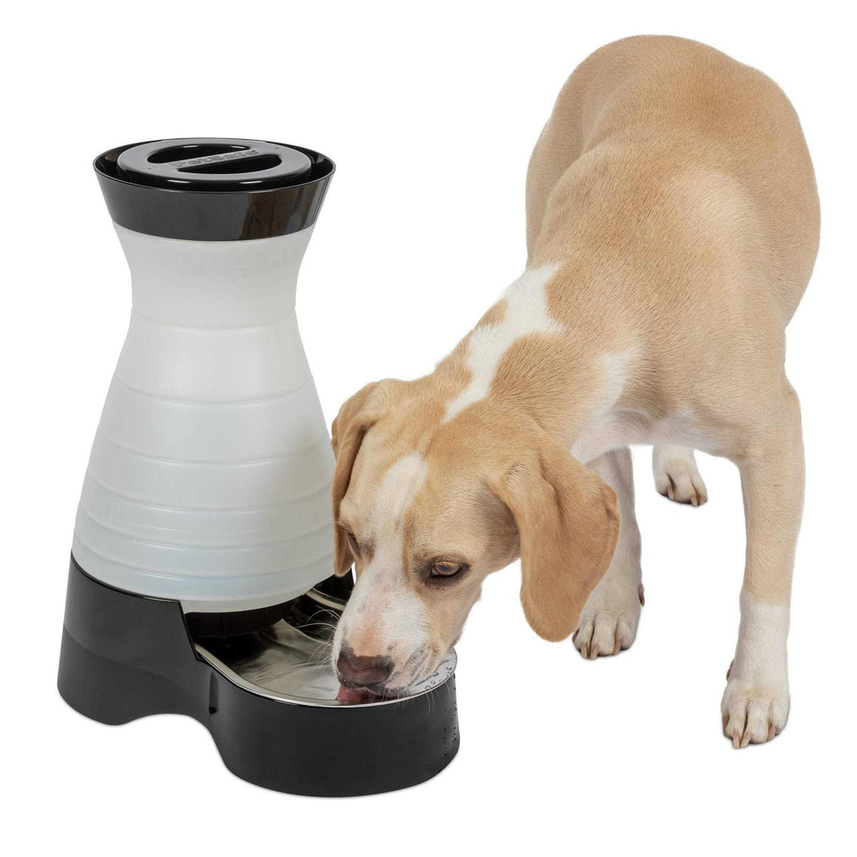 Healthy Pet Water Station S13693