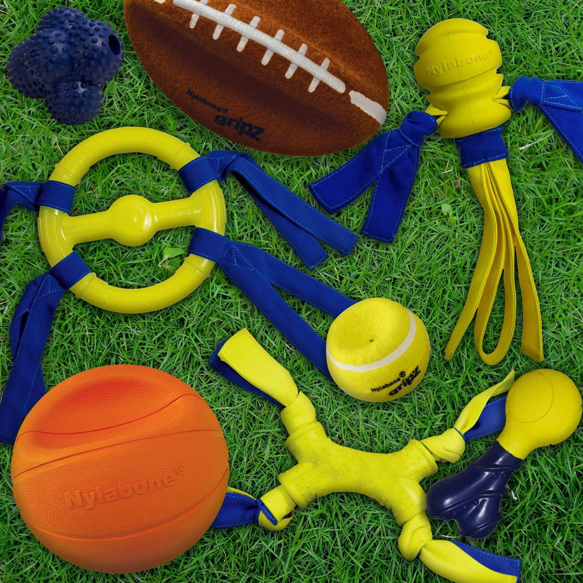 Dog Toy A7760