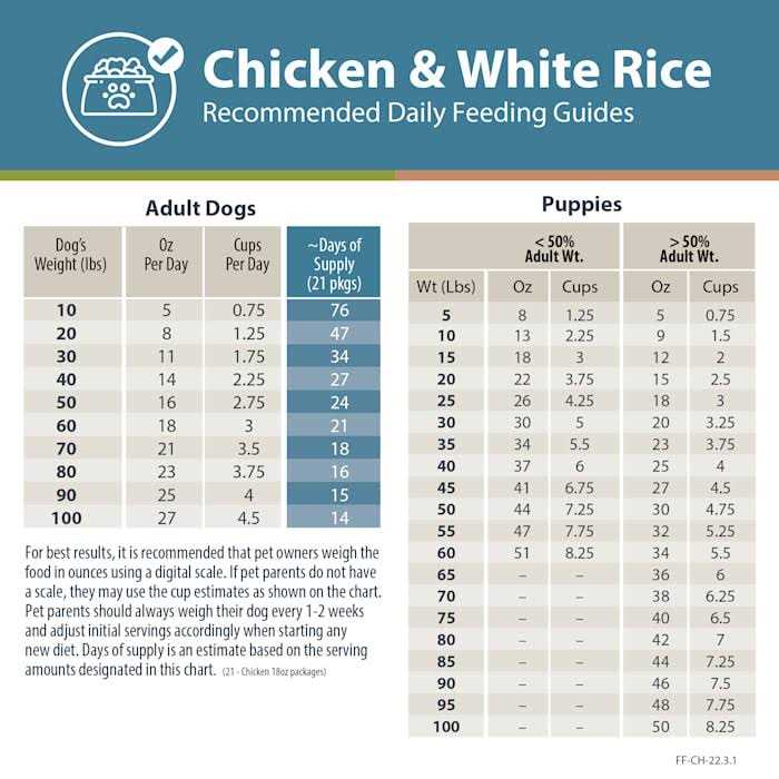 Frozen Dog Food Y8640