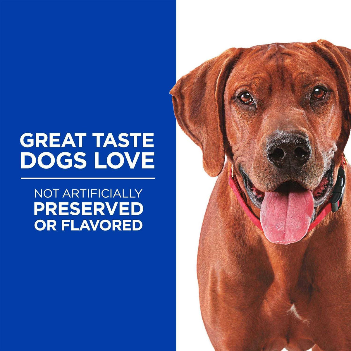 Grain Free Soft-Baked Dog Treats J3101