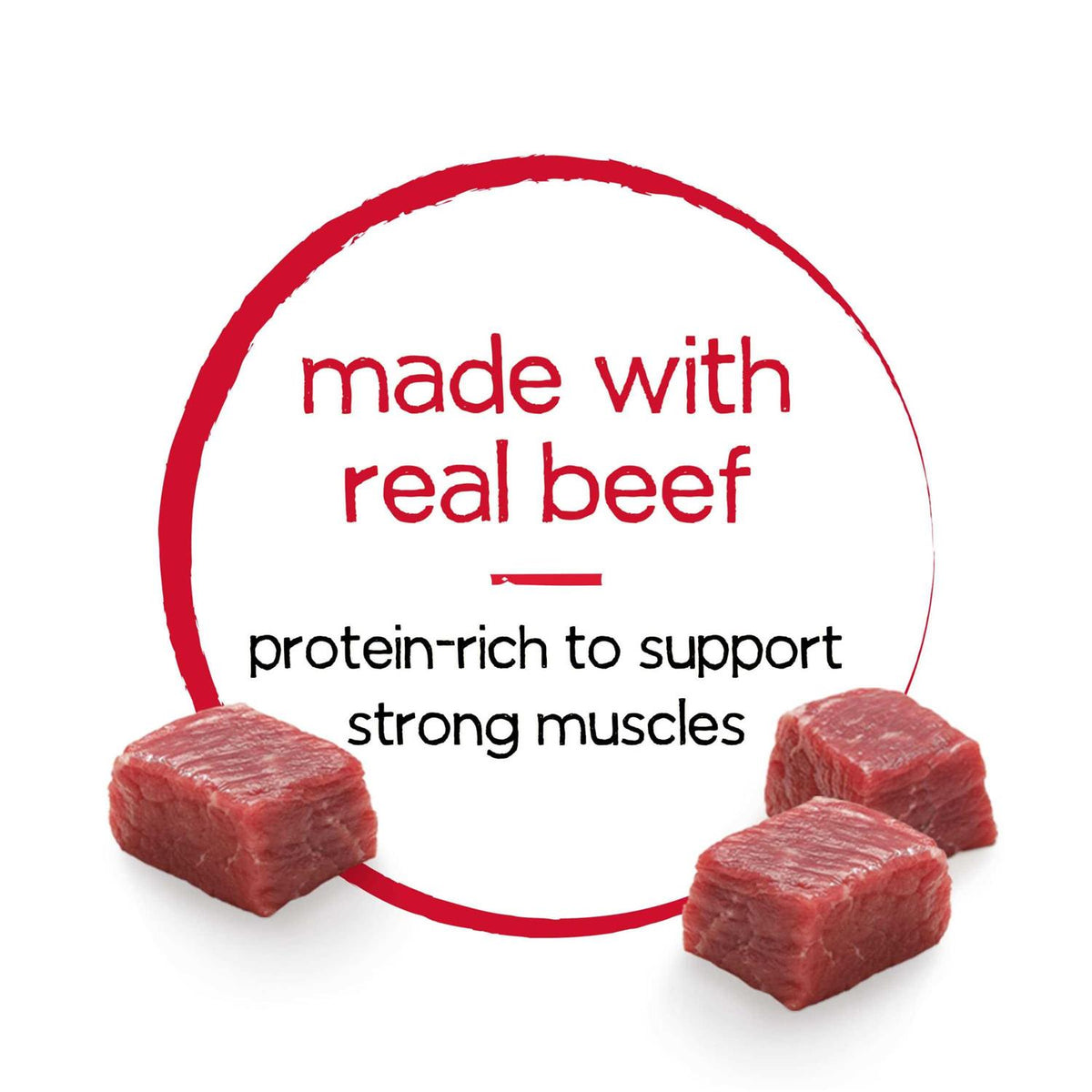 Dog Food R9561