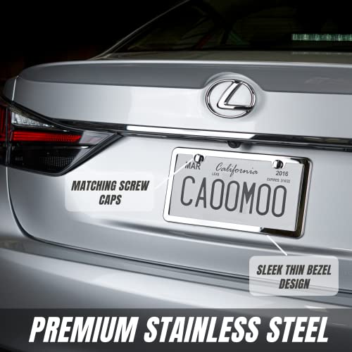 Stainless Steel License Plate Frame + Chrome Screw Caps (Silver) D1042