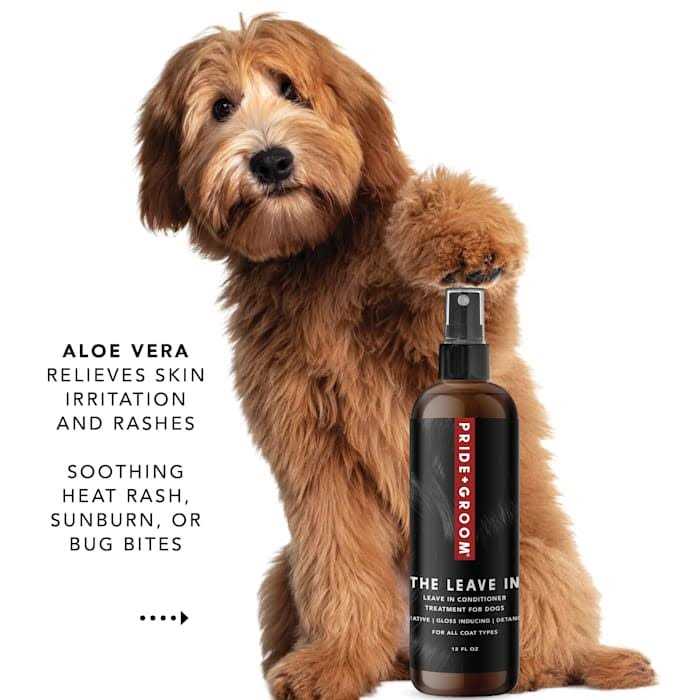 Leave in Conditioner Treatment for Dogs K148