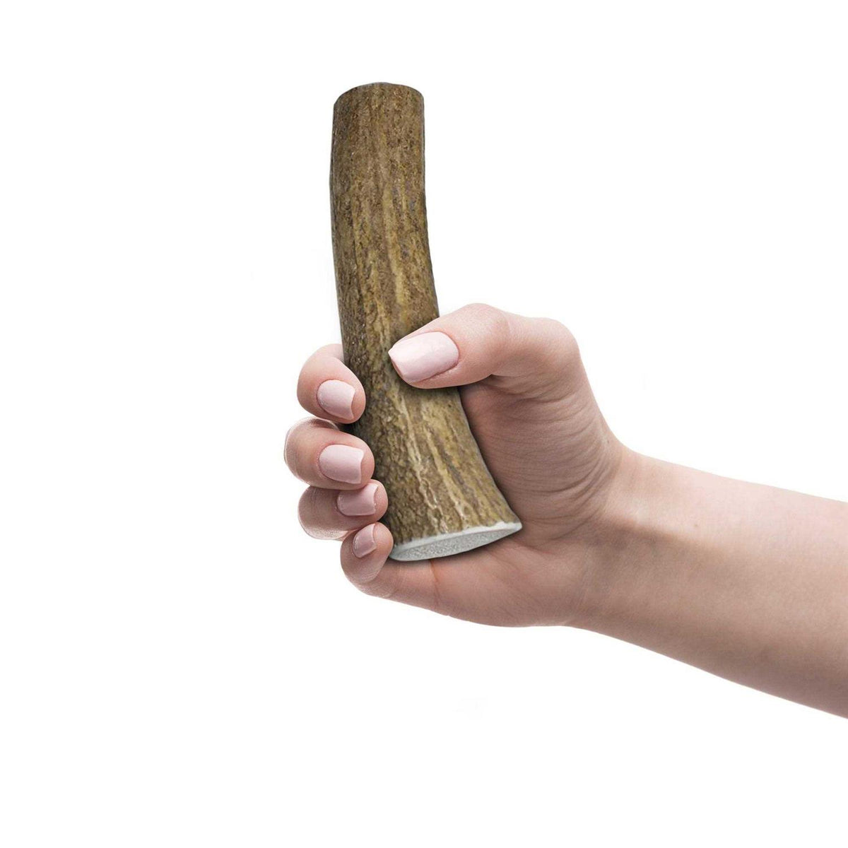 Elk Antlers for Dogs P3044