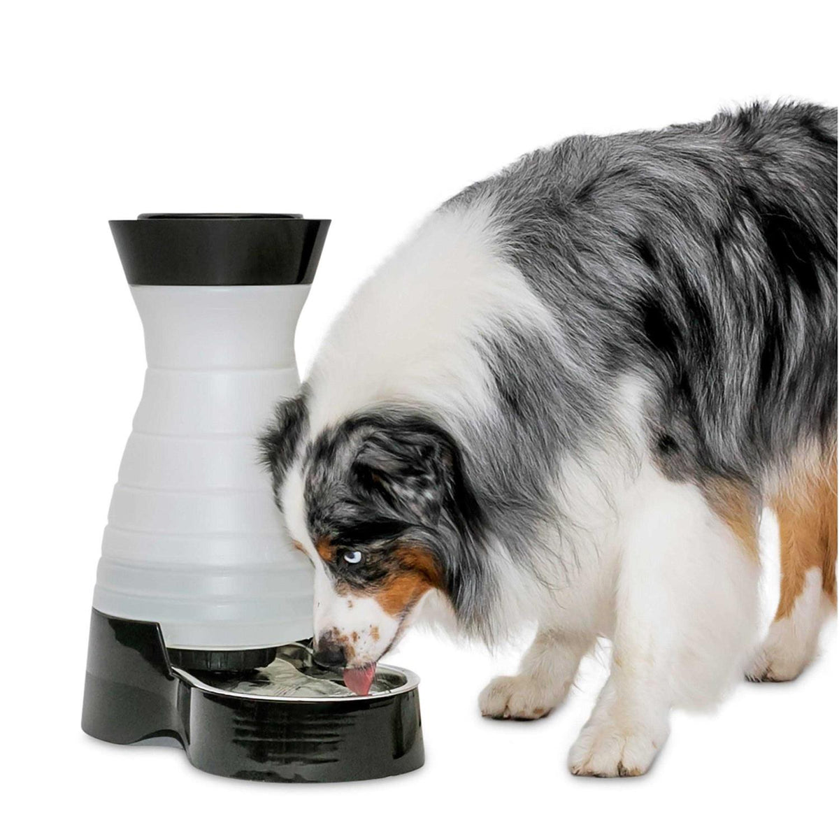 Healthy Pet Water Station S13693